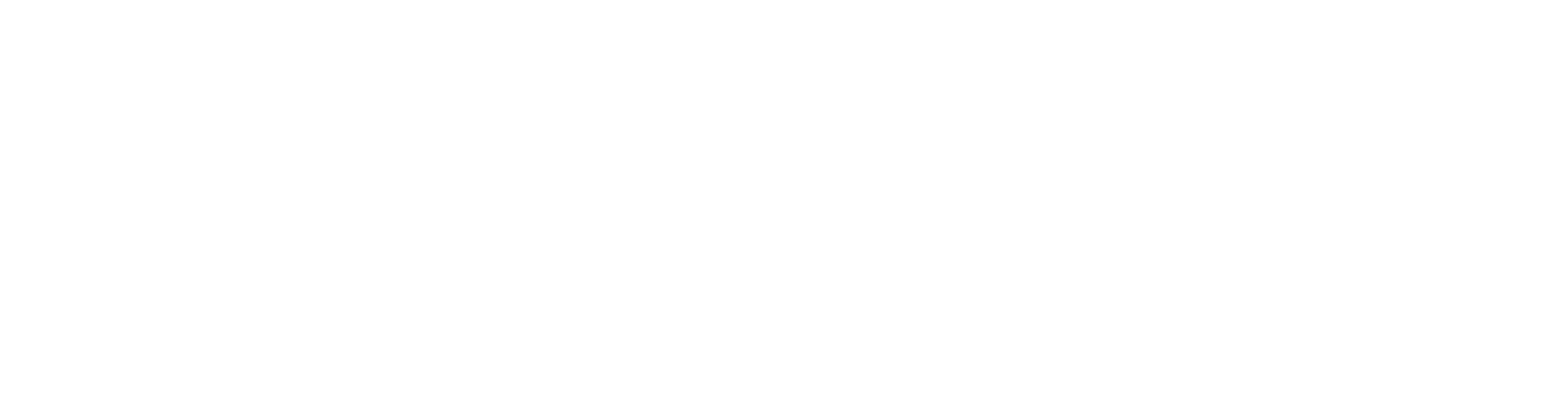 HoundDog.ai